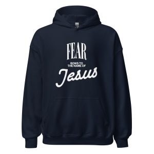 Unisex Heavy Blend Hoodie Navy Front 67d4682877144 | Cross Culture Streetwear