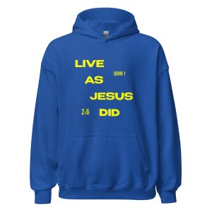 Unisex Heavy Blend Hoodie Royal Front 67d2fae228af9 | Cross Culture Streetwear